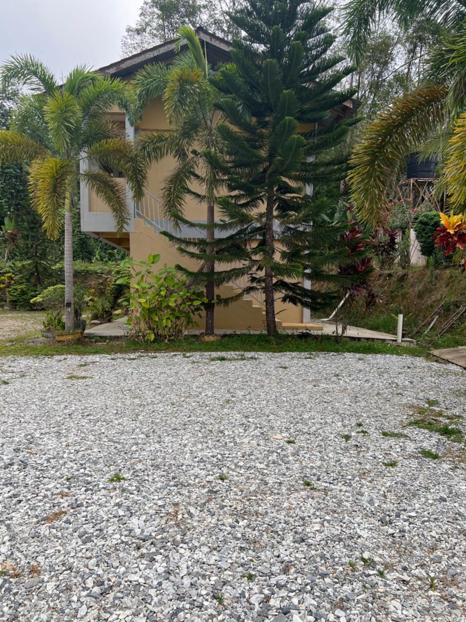 Country House Pulai Holiday Village Gua Musang Kültér fotó